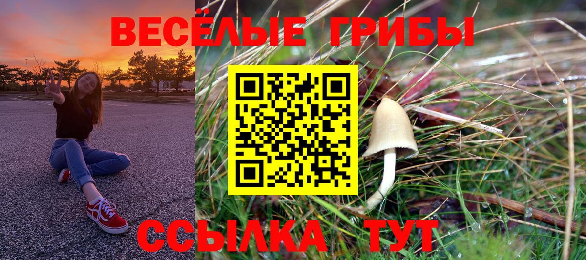 Галлюциногенные грибы прущие грибы Солнечногорск