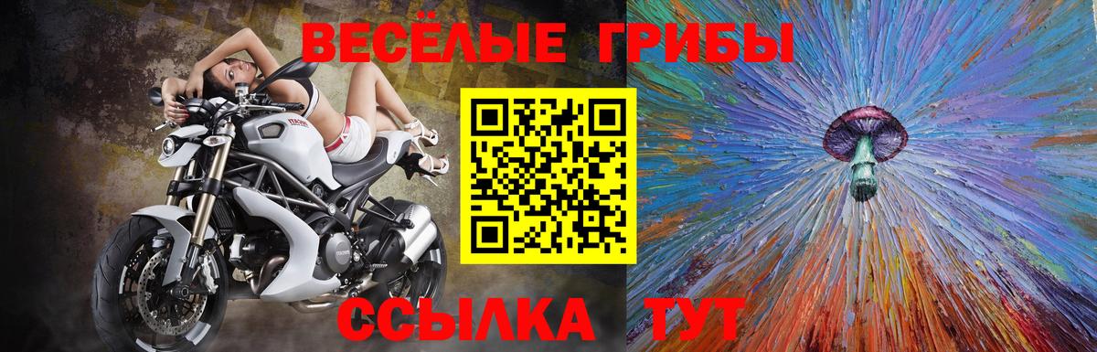 Солнечногорск  Галлюциногенные грибы GOLDEN TEACHER  Вход с VPN  Псилоцибиновые грибы Psilocybine cubensis 